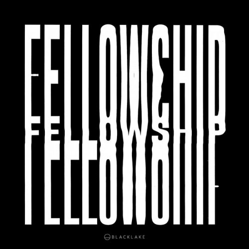 VA - Fellowship (2018)