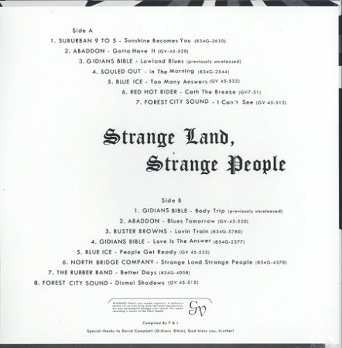 VA - Strange Land, Strange People (Psychedelic Garage & Heavy Psych From The Golden Voice Label) (1960-70/2014) Vinyl Rip