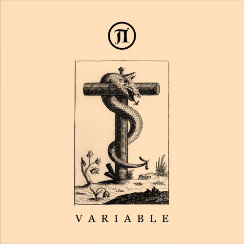 VA - VARIABLE (2018)