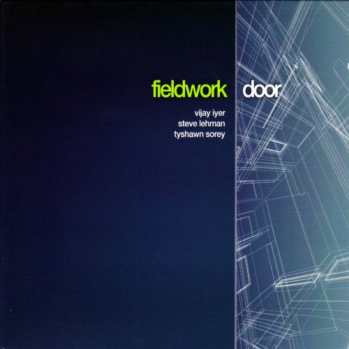 Fieldwork - Door (2008)