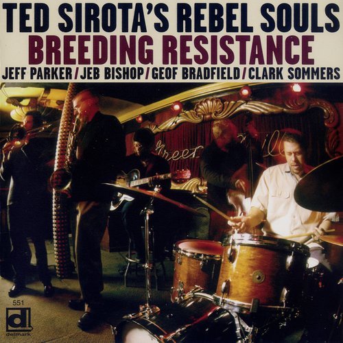 Ted Sirota's Rebel Souls - Breeding Resistance (2004) 320 kbps