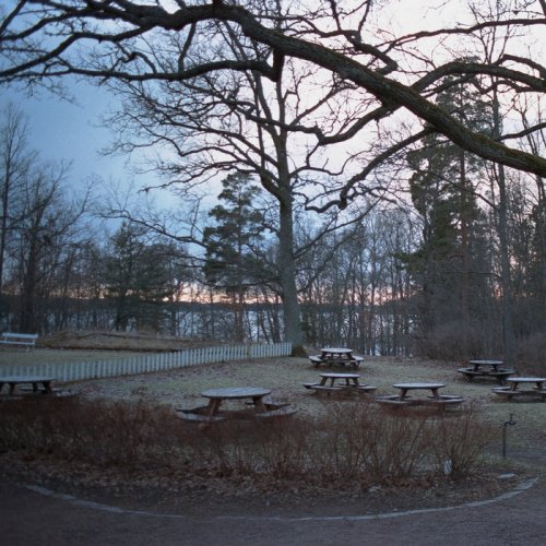 The Gentleman Losers - Make We Here Our Camp of Winter (2018)