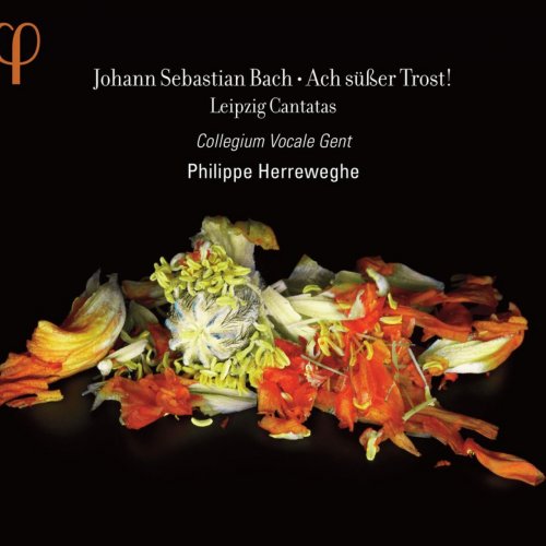 Collegium Vocale Gent, Philippe Herreweghe - J.S.Bach: Ach süßer Trost! - Leipzig Cantatas (2012) Lossless