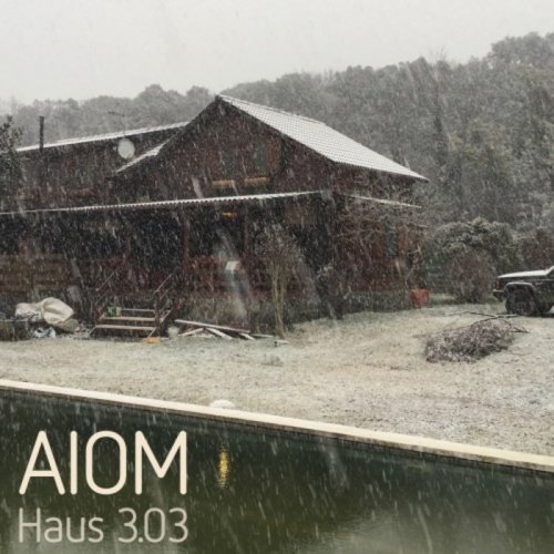 AIOM - Haus 3.03 (2018)