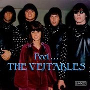 The Vejtables - Feel...The Vejtables (1965-66/1995)