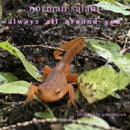 Norman Salant - Always All Around You (2018)