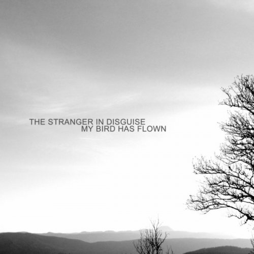 The Stranger In Disguise - My Bird Has Flown (2018) [Hi-Res]