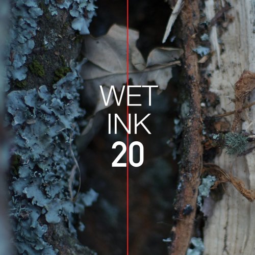 Wet Ink Ensemble - Wet Ink: 20 (2018)