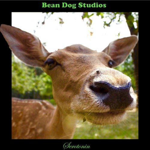 Bean Dog Studios - Serotonin (2018)