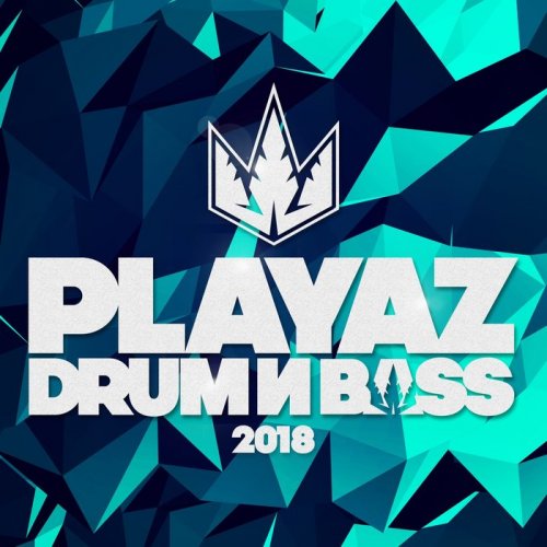 VA - Playaz Drum & Bass 2018 (2019)