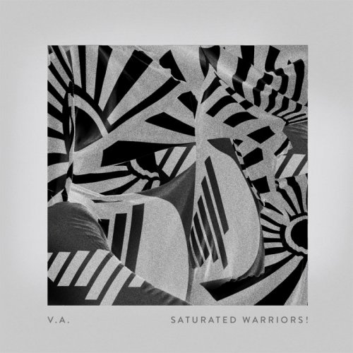 VA - SATURATED WARRIORS! (2019)