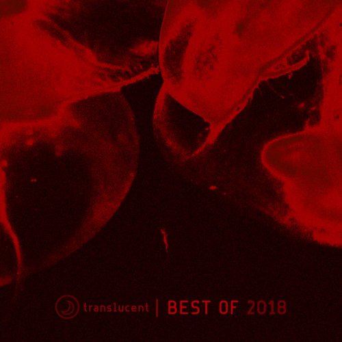 VA - Translucent (Best of 2018) (2019)