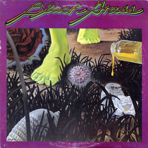 Black Grass - Black Grass (1973) Vinyl