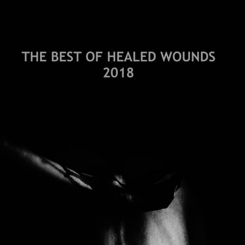 VA - The Best Of Healed Wounds 2018 (2019)