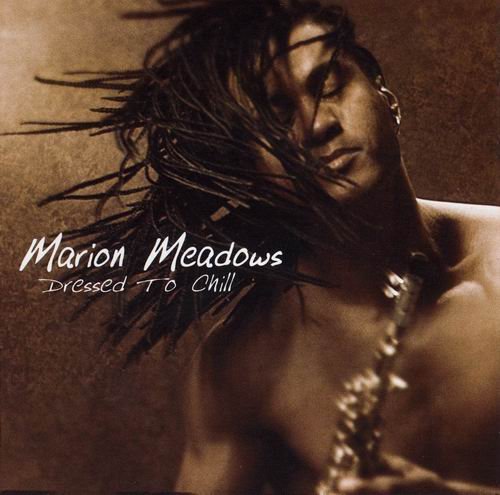 Marion Meadows - Dressed To Chill (2006) CD Rip