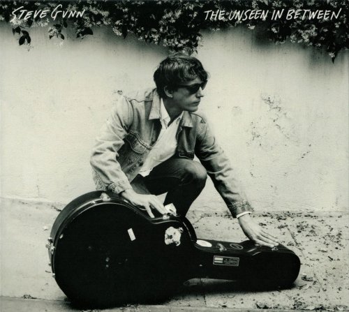 Steve Gunn - The Unseen In Between (2019) CD-Rip