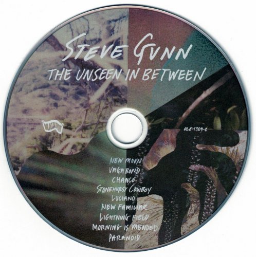 Steve Gunn - The Unseen In Between (2019) CD-Rip