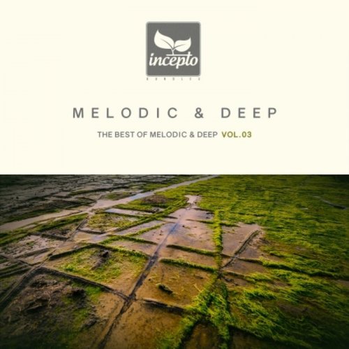 VA - Melodic & Deep, Vol. 03 (2019)