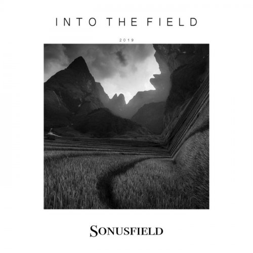 VA - Into the Field 2019 (2019)