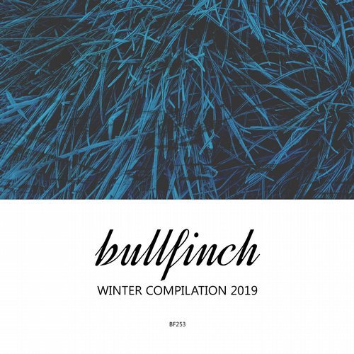 VA - Bullfinch Winter Compilation 2019 (2019)