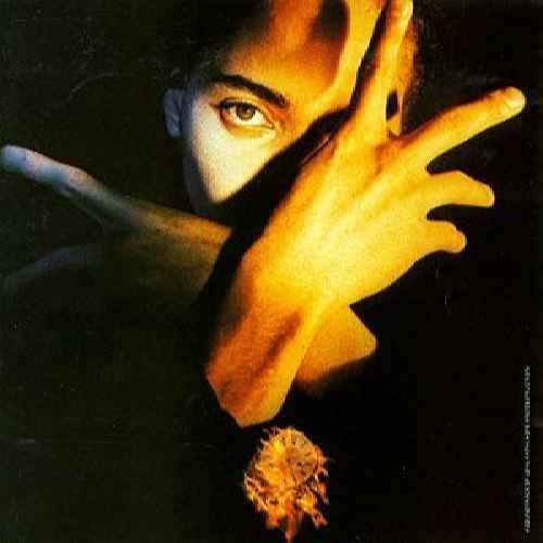 Terence Trent D'Arby - Terence Trent D'Arby's Neither Fish Nor Flesh: A Soundtrack Of Love, Faith, Hope, And Destruction (1989) LP