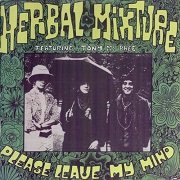 Herbal Mixture / The Groundhogs Featuring Tony McPhee - Please Leave My Mind (Reissue) (1965-66/1996)