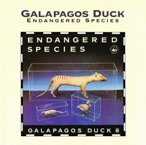 Galapagos Duck - Endangered Species (1992)