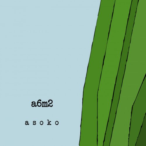 a6m2 - asoko (2019)