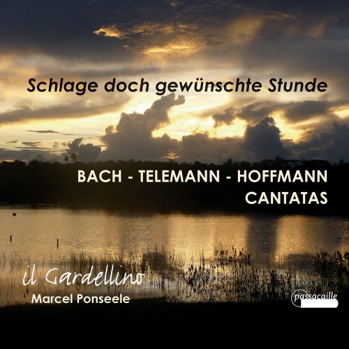 Marcel Ponseele & Il Gardellino - Bach, Telemann, Hoffmann: Cantatas (2014)