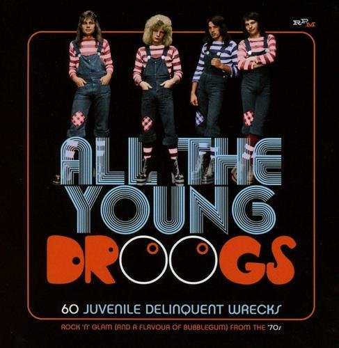 VA - All The Young Droogs: 60 Juvenile Delinquent Wrecks (2019) [CD-Rip]
