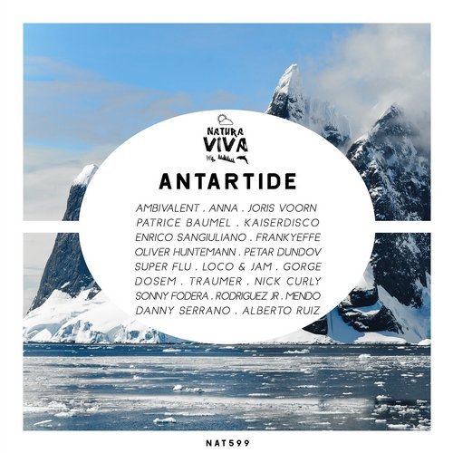 VA - Antartide (2019)