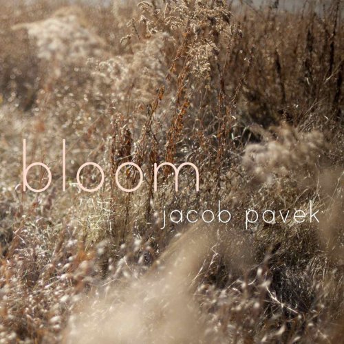 Jacob Pavek - Bloom (2012)