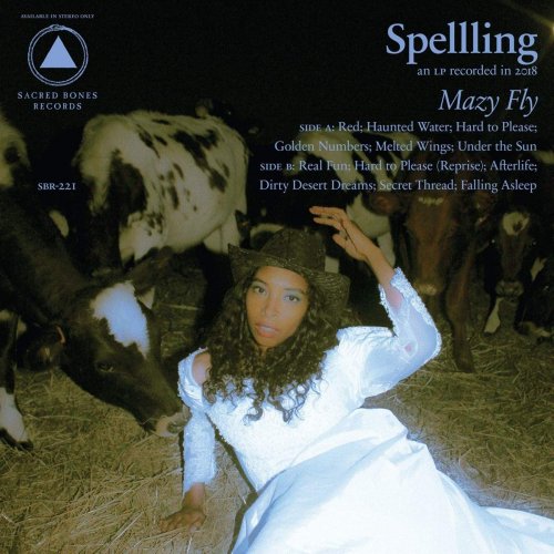 Spellling - Mazy Fly (2019) [Hi-Res]
