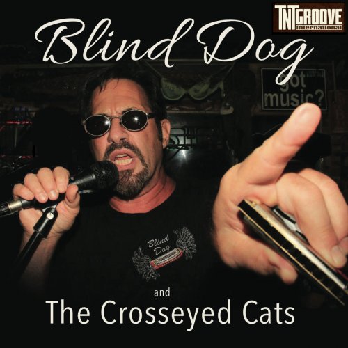 Jeff Vincent - Blind Dog and the Crosseyed Cats (2019)