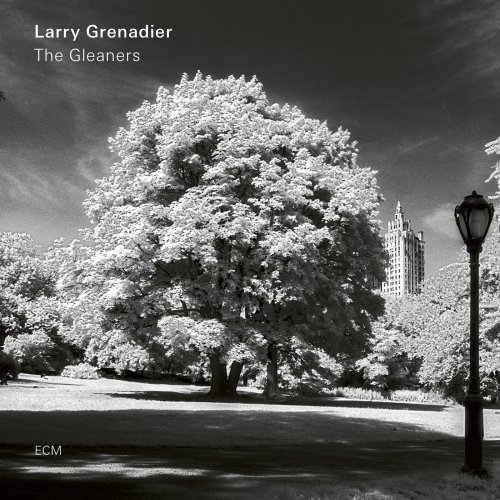 Larry Grenadier - The Gleaners (2019) [Hi-Res]