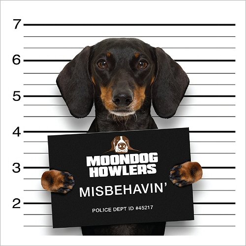 Moondog Howlers - Misbehavin' (2019)