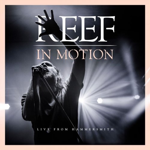 Reef - In Motion (Live from Hammersmith) (2019) [Hi-Res]