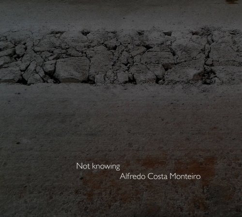 Alfredo Costa Monteiro - Not Knowing (2019)