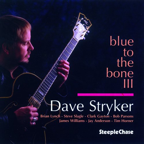 Dave Stryker - Blue To The Bone III (2016) [Hi-Res]