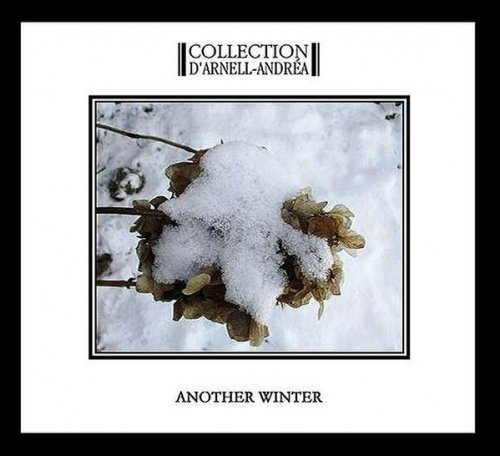 Collection D'Arnell-Andréa ‎- Another Winter (2019)