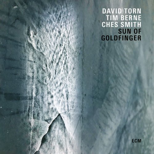 David Torn, Tim Berne & Ches Smith - Sun Of Goldfinger (2019) [Hi-Res]