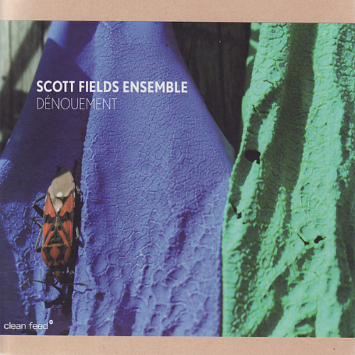 Scott Fields Ensemble - Dénouement (1999)