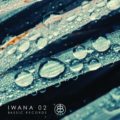 VA - IWANA 02 (2019)