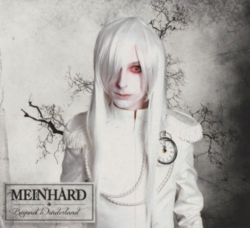 Meinhard - Beyond Wonderland (2013)