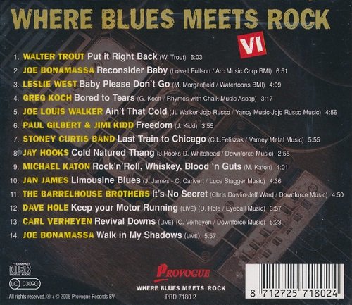 VA - Where Blues Meets Rock VI (2005)