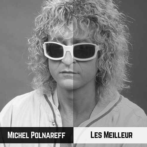 Michel Polnareff - Les Meilleur (2019)