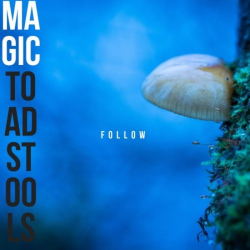 Magic Toadstools - Follow (2019)