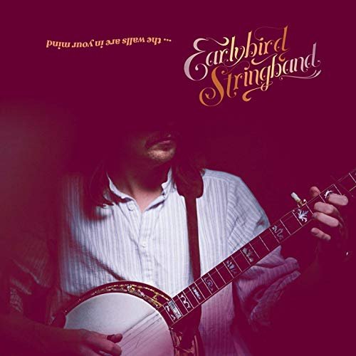 Earlybird Stringband - The Walls Are in Your Mind (2019) Hi Res