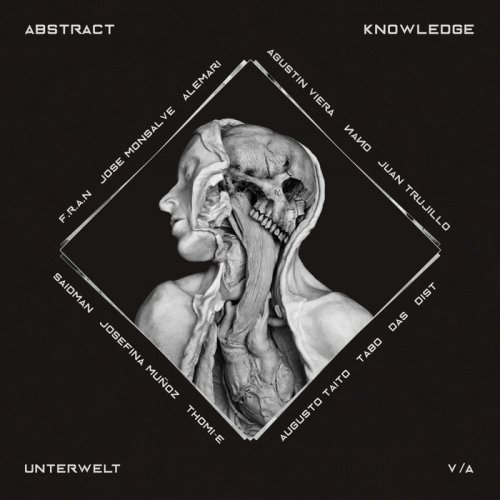 VA - Abstract Knowledge (2019)