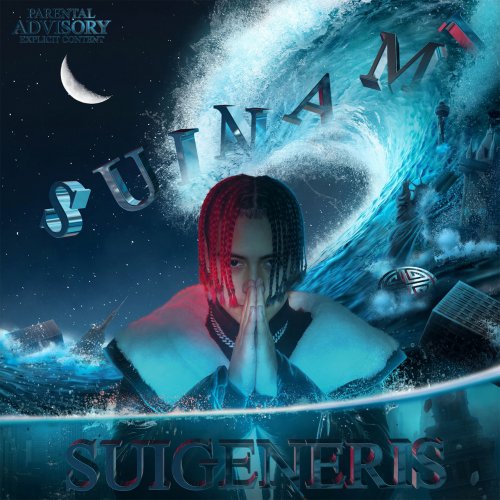 Suigeneris - Suinami (2019) FLAC